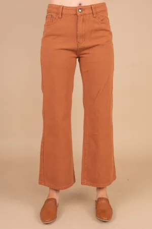 In Control Brick Orange Wide Leg Crop Pants