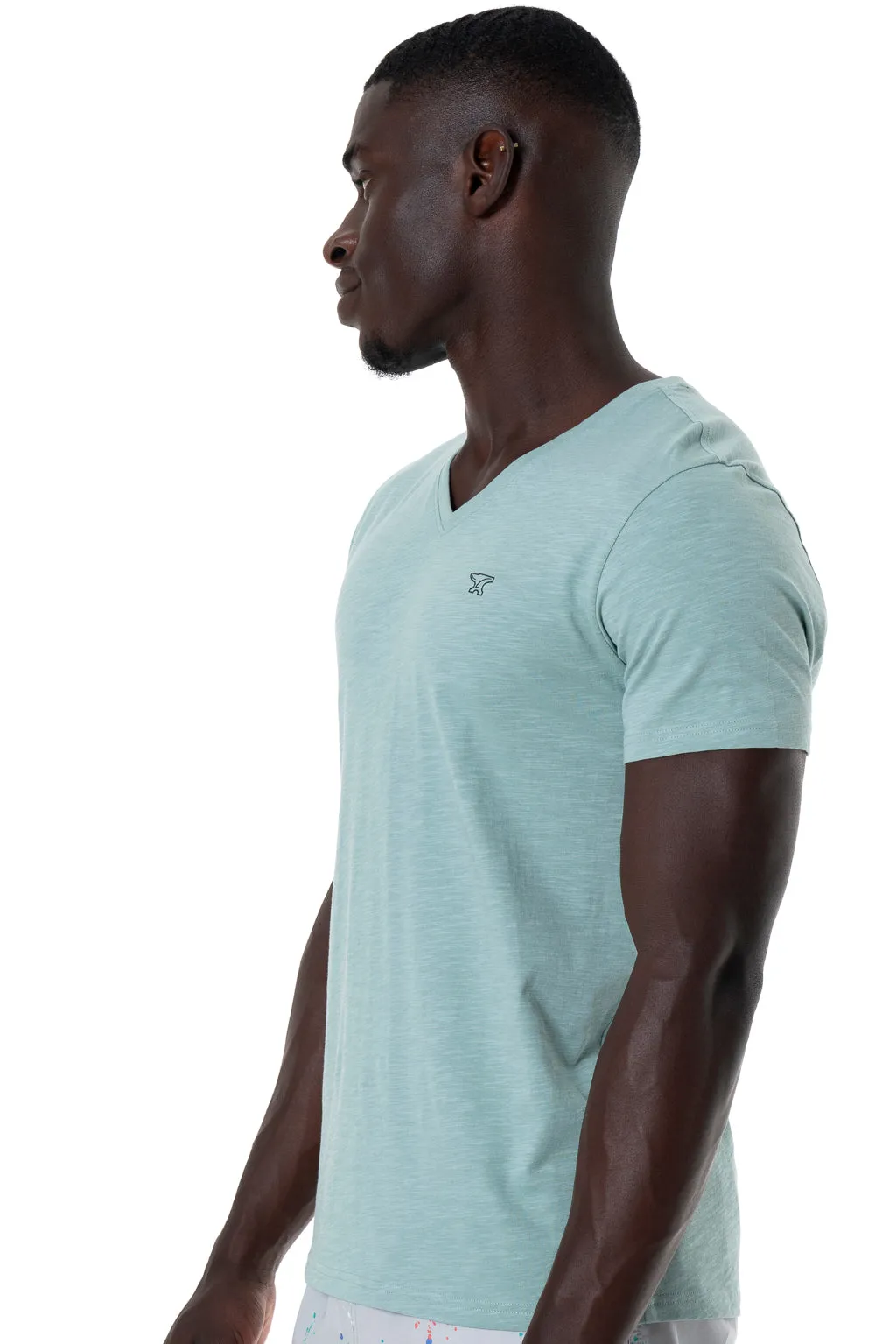 V-Neck T-Shirt _ 141368 _ Sage